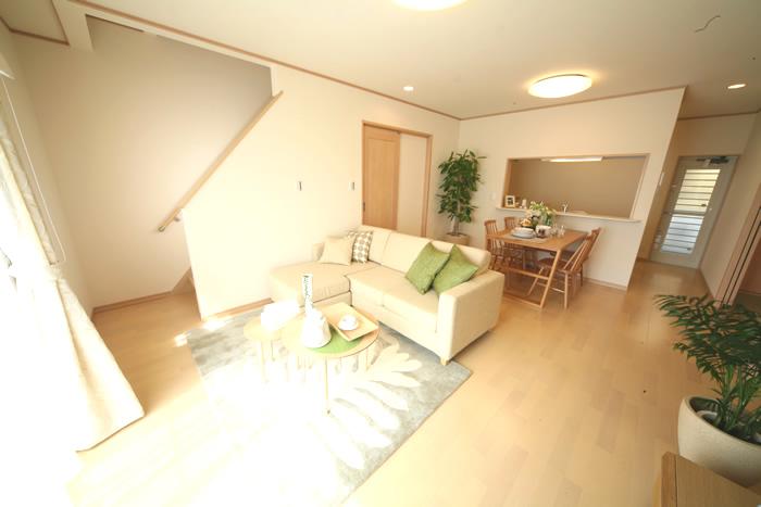 Model house photo. Living