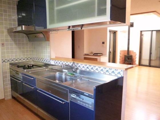 Kitchen. Indoor (12 May 2013) Shooting