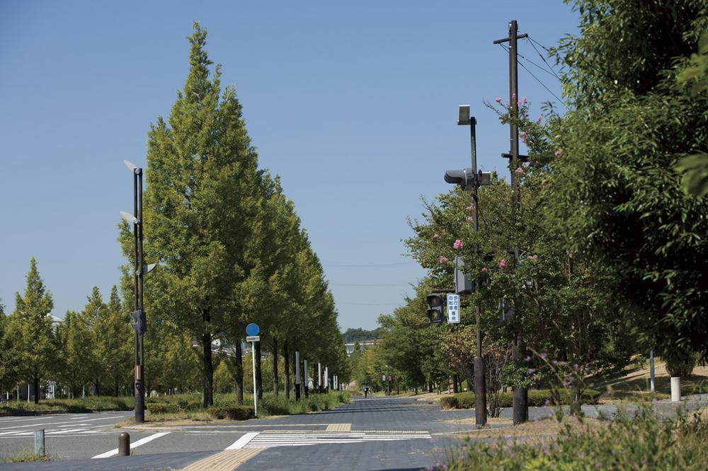 Other local. Spring blossom, Summer is a lush greenery, And Seika Boulevard from autumn to winter, which is decorated in brilliant autumn leaves (about 760m)