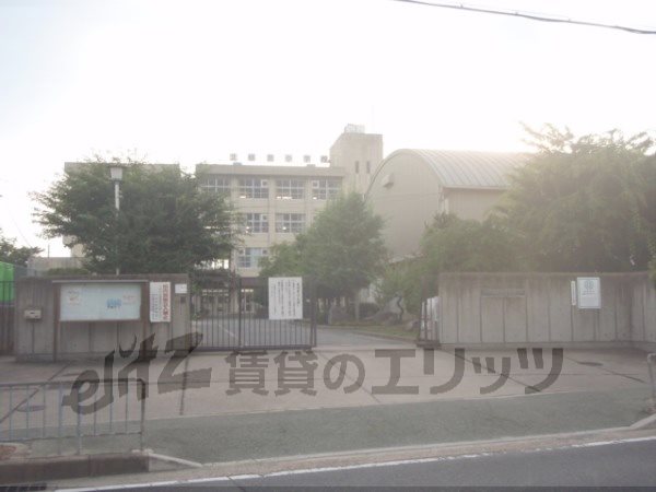 Primary school. 520m to the north Maxima elementary school (elementary school)