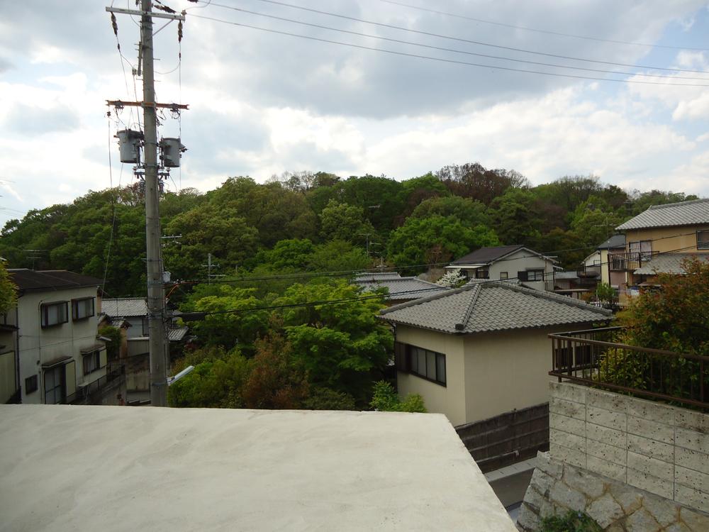 View photos from the local