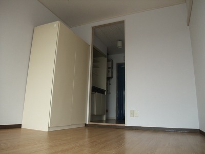 Living and room. Western-style (1)