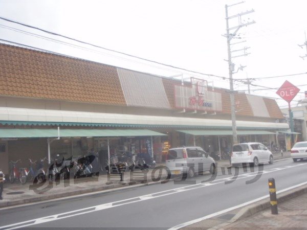 Supermarket. 930m until Ole Maruyama (super)
