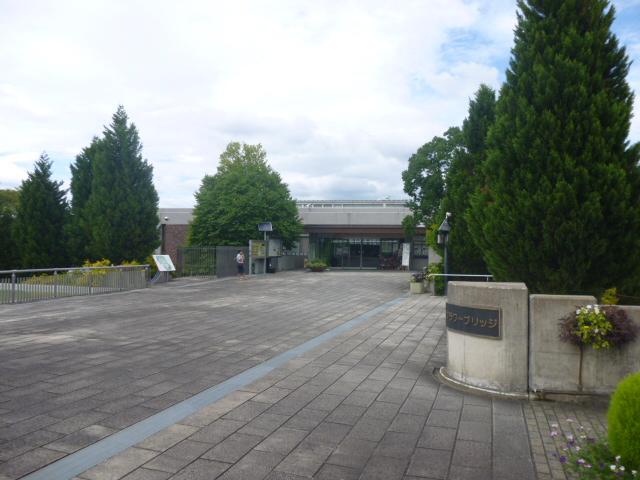 Other. Lush plant park