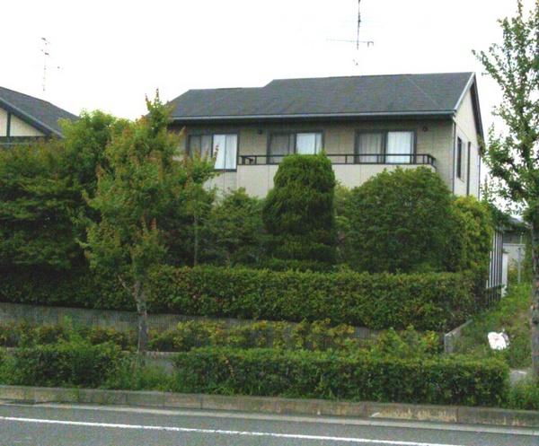 Local appearance photo. Local (August 2013) Shooting