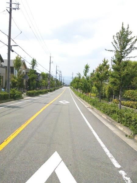 Local photos, including front road. Local (August 2013) Shooting