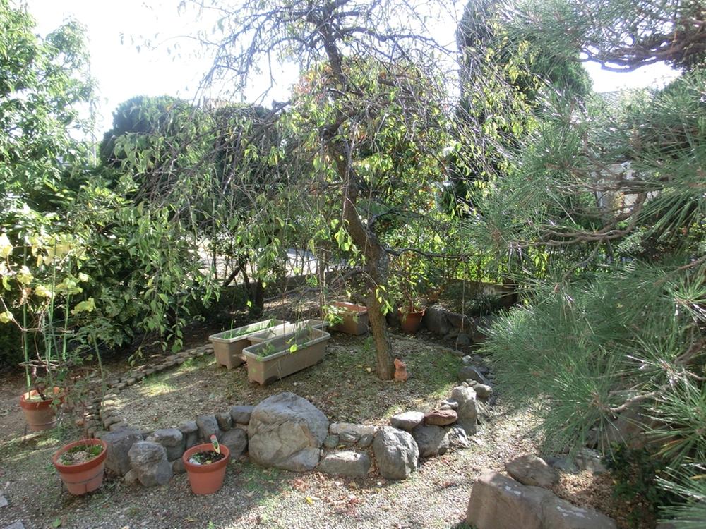 Garden. Local (August 2013) Shooting