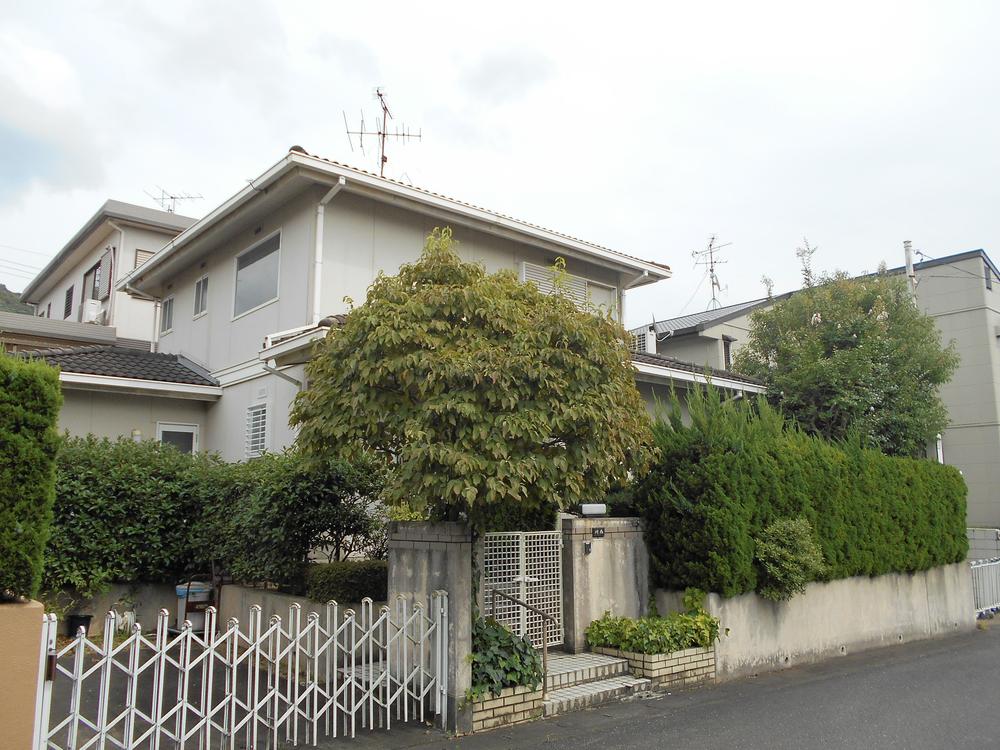 Local appearance photo. Local (August 2013) Shooting