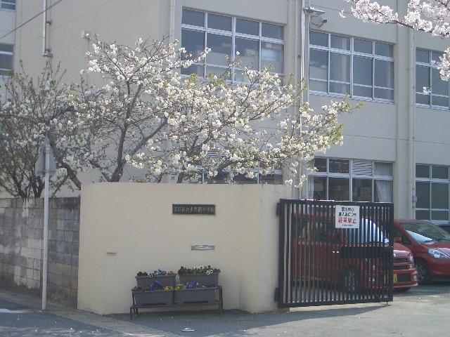 Junior high school. 1633m to Kyoto Municipal Ogurisu junior high school