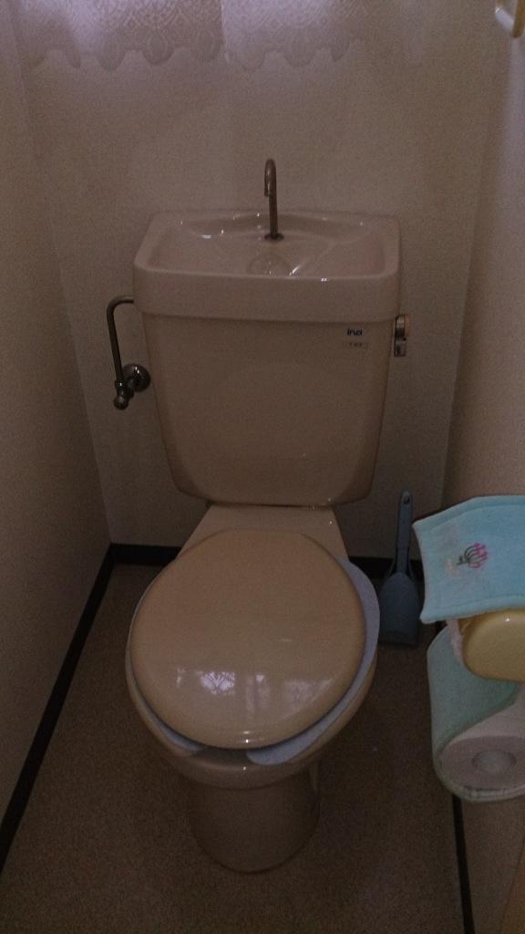 Toilet. Indoor (10 May 2013) Shooting