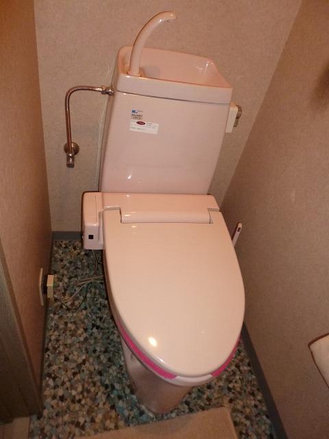 Toilet. Room (August 2013) Shooting