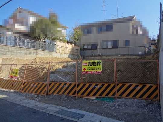 Local land photo. photo1