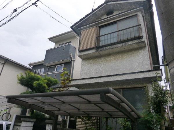 Local appearance photo. Local (12 May 2013) Shooting