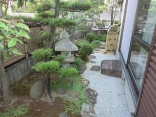 Garden. Local (August 2013) Shooting