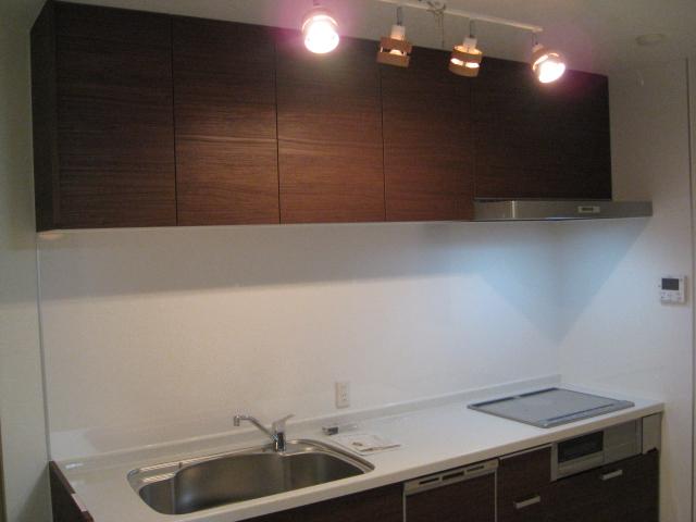 Kitchen. Stove will be IH.