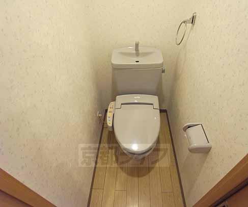Toilet. Toilet is with a bidet.