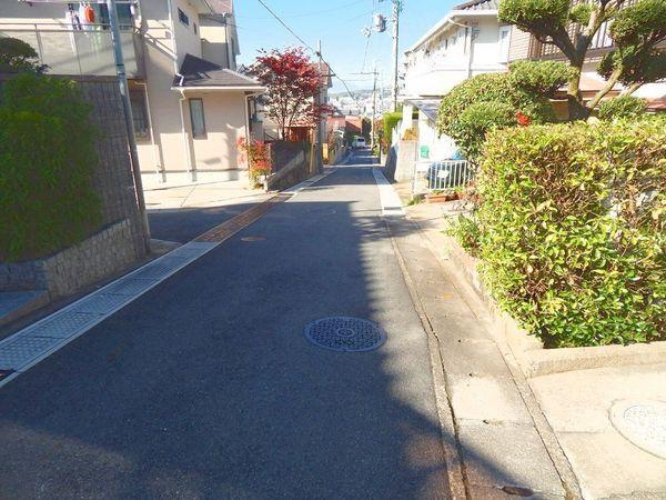 Local photos, including front road