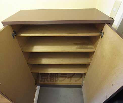 Entrance. Not troubled in the storage of shoes.