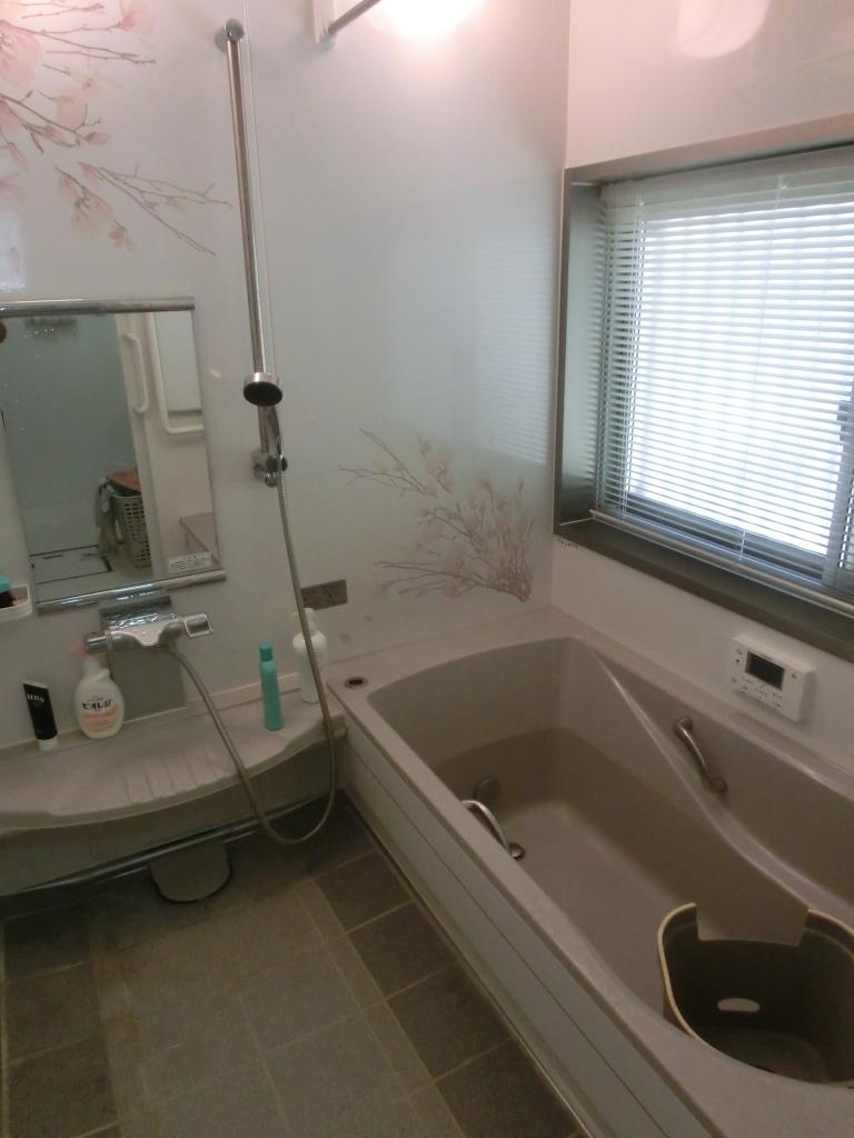 Bathroom. Room (August 2013) Shooting