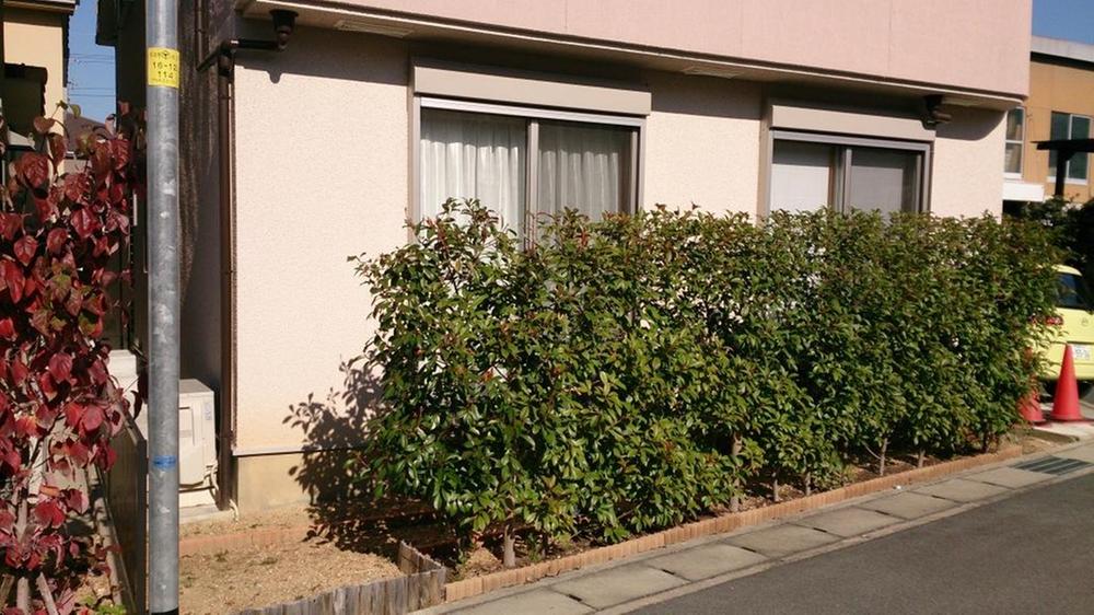 Other. Indoor (11 May 2013) Shooting, It is the first floor of the planting of the blindfold. It has been clean care. 