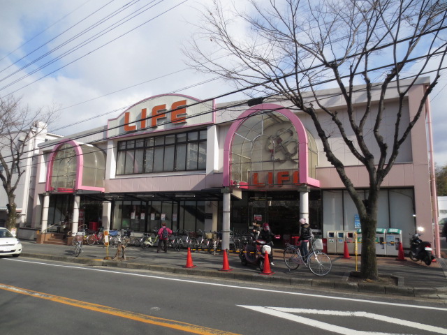 Supermarket. 520m up to life Otokoyama store (Super)