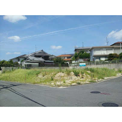 Local land photo. appearance