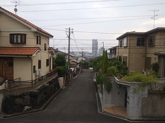 View photos from the local