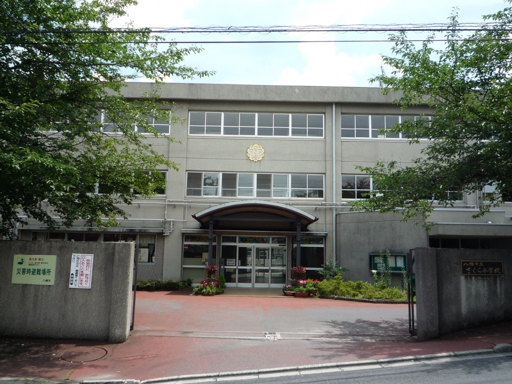 Primary school. 624m to Yahata Municipal Sakura elementary school (elementary school)