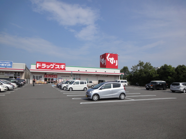 Dorakkusutoa. Drag cedar Mizuhodai shop 2931m until (drugstore)