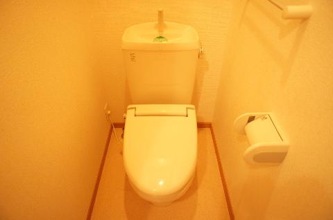 Toilet. Toilet with shower