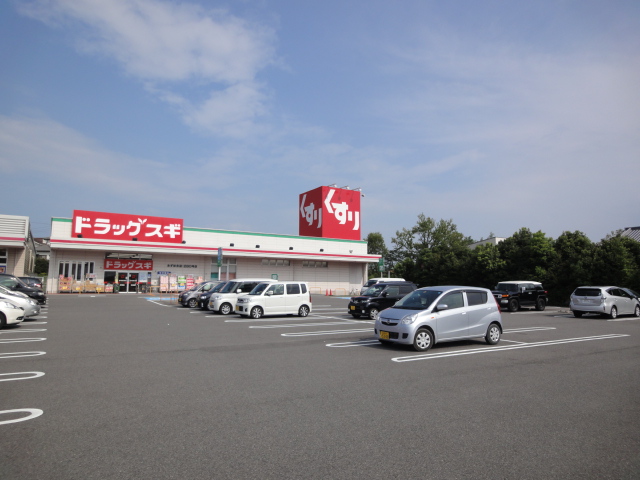 Dorakkusutoa. Drag cedar Mizuhodai shop 1292m until (drugstore)