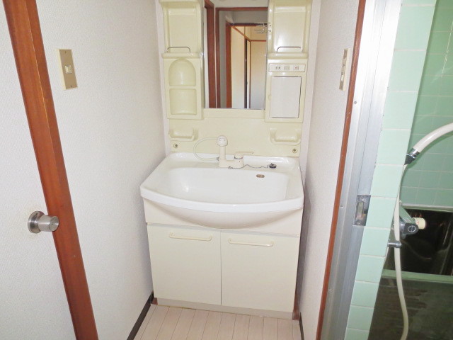 Washroom. Washbasin with shower