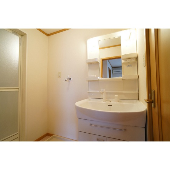 Washroom. Shampoo dresser