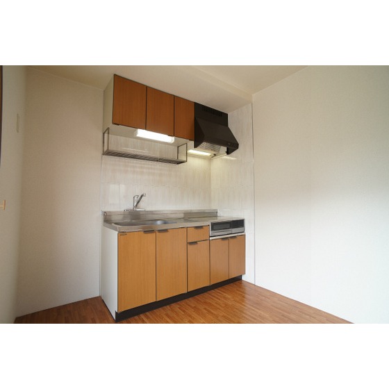 Kitchen. Two-burner IH hob