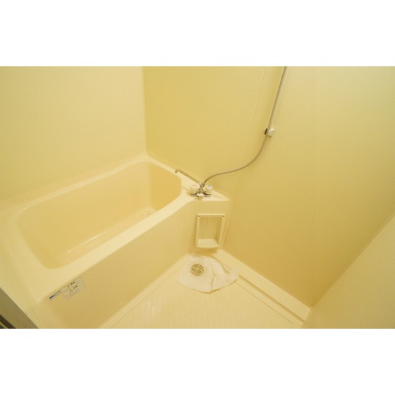 Bath. It comes with a shower