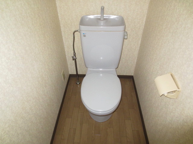 Toilet. Toilet