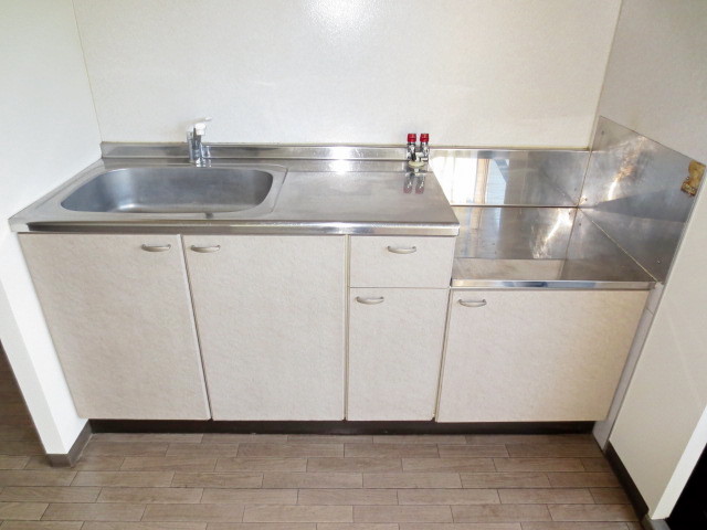 Kitchen. Sink