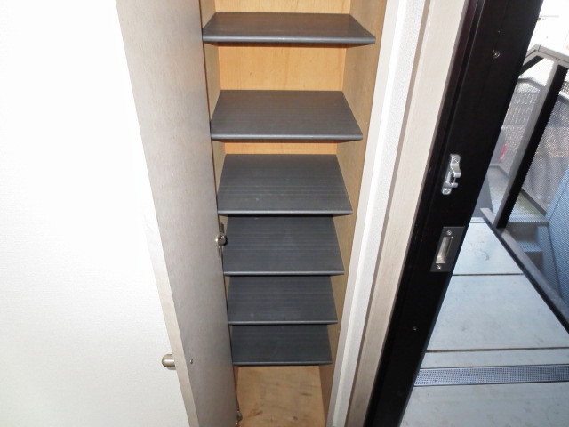 Entrance. Shoe box
