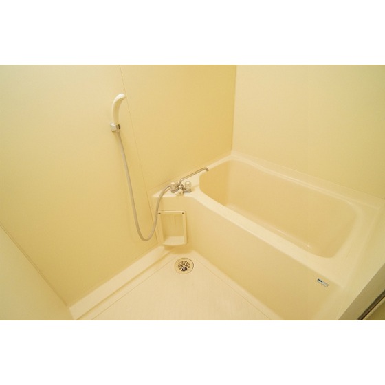 Bath. It comes with a shower
