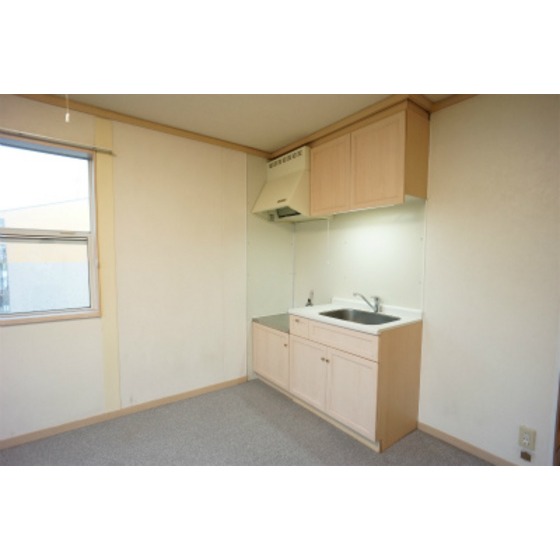 Kitchen. Large kitchen