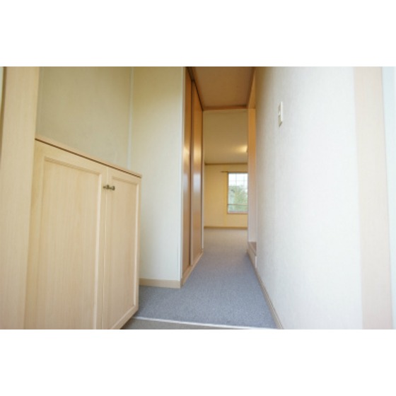 Entrance. With shoe box