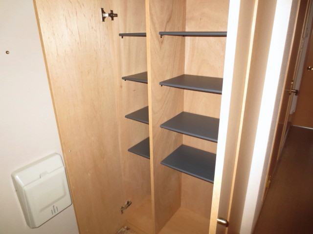 Entrance. Shoe box