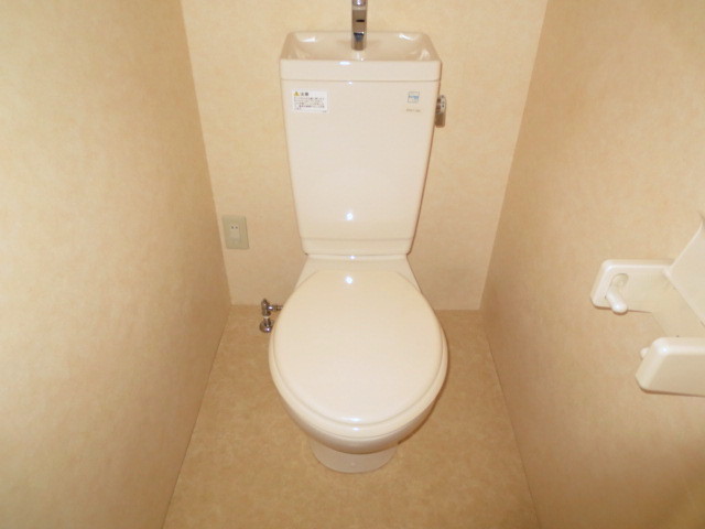 Toilet. Toilet
