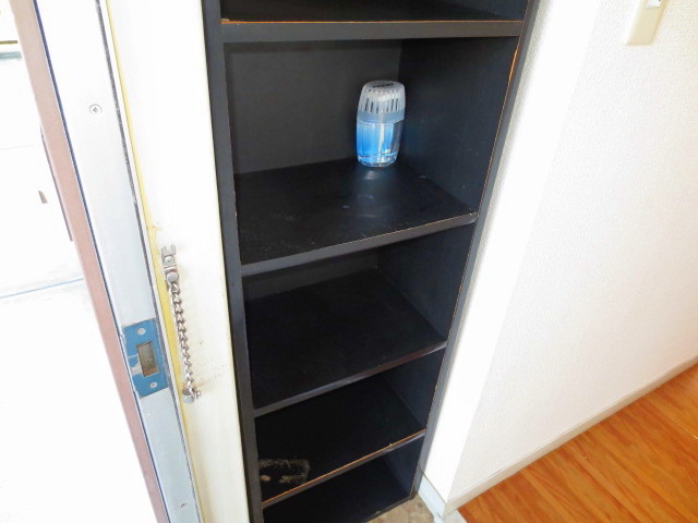 Entrance. Shoe box