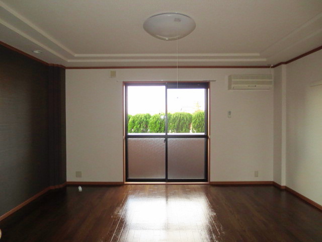 Living and room. Western-style (air conditioning, With lighting)