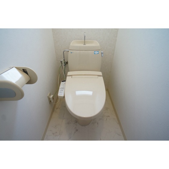 Toilet. With warm water washing toilet seat