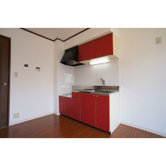 Kitchen. Renewal already