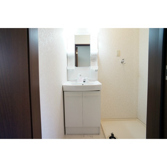 Washroom. Shampoo dresser