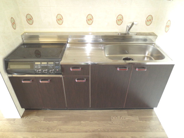 Kitchen. Sink (with IH cooker)