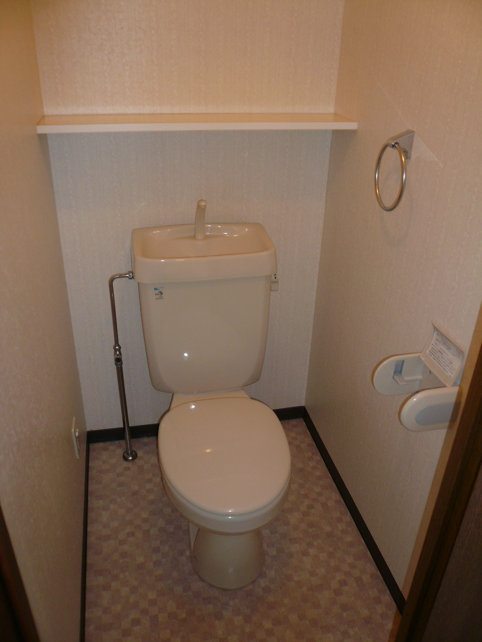 Toilet. Reference photograph, Same building another room